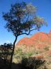 Kata Tjuta