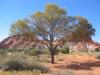 Rainbow Valley