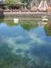 Temple et eau sacree