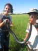SuperLimor and THE Cobra