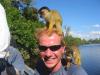 Singes Chichillo and Happy Alex