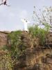Dingasso  Jesus