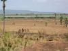 Train vers la c�te d'ivoire!