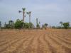 Sur la route de F�b�dougou