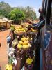 Arr�t bus