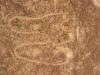 Dessin des septs Mosqu�es