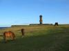 Chevaux et Ahu Tahai