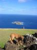 Mon ami le chien Orongo