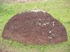 Petroglyphes