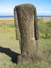 Les oreilles du Moai