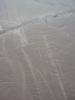 Nazca Lines