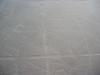 Nazca Lines Condor