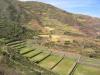 Ruines de Tipon