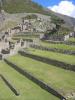 Machu Pichu, Terrasses