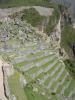 Machu Pichu, Terrasses (encore)