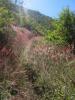 4i�me Jour, Descente pas facile