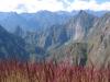 4i�me Jour, MachuPichu et Fleurs