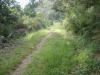 4i�me Jour, Un chemin des Incas