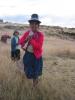 Sillustani, Berg�re Alpacas