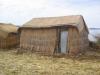 Lac Titicaca, Iles Uros