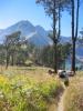 Porteur vers Rinjani