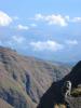Monkey Rinjani