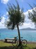 Bike in Raiatea