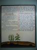 Histoire Opium et Tabac